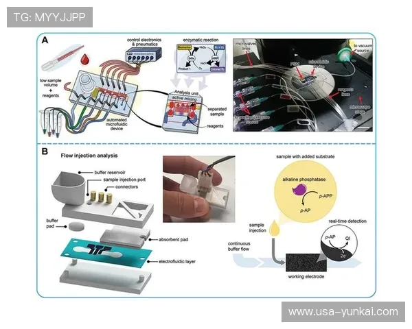 面向精准医疗与环境监测的高灵敏生物传感器设计与应用研究进展——开云体育健康科技探索